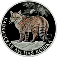 Реверс монеты «Кавказская лесная кошка»